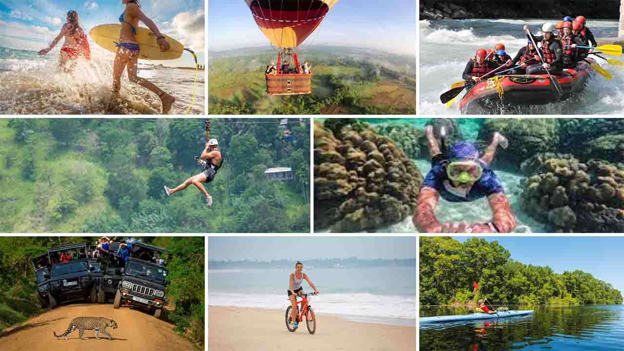 Luxury Beach & Wildlife Safari